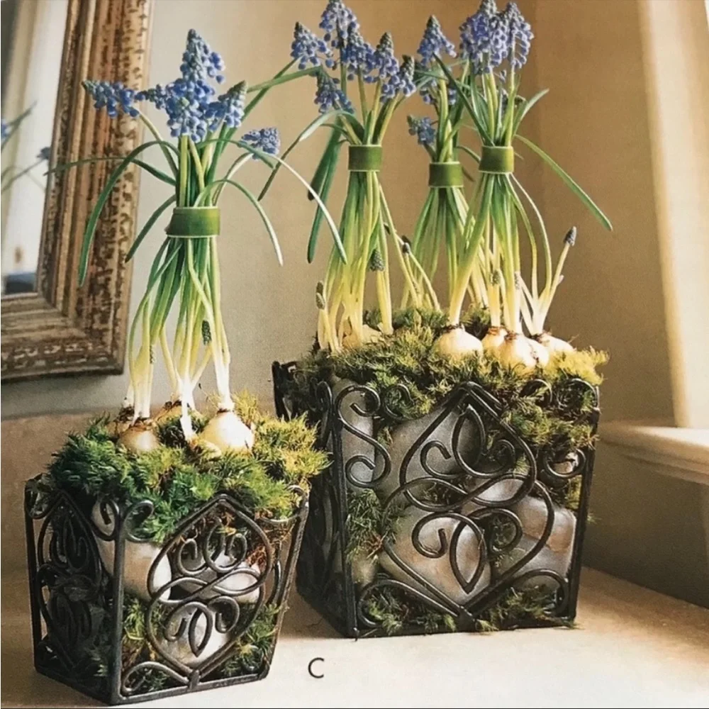 SL@H Vintage Rustic Rosedale Metal Scroll Baskets/Plant Holders